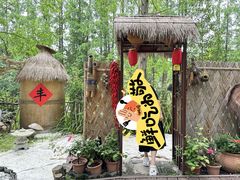 -东平国家森林公园