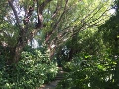 -佛山祈福仙湖酒店