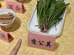 -钦善斋(武侯祠店)