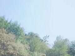 -美人谷景区