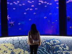 -沈阳海洋探索中心