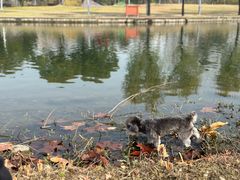 -同济大学(嘉定校区)