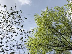 -重庆园博园