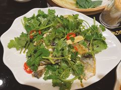 -草鱼先生潮州鱼生·虾生(新厦花园店)