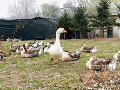 -长春市南湖公园