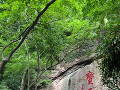 -纯真年代书吧(宝石山店)