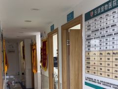 -乐琪宠物医院·犬猫专科·骨外科·急重症