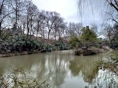 -盆景园(扬州大运河文化旅游度假区)