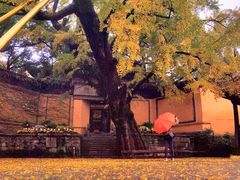 -无锡惠山寺