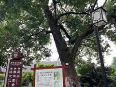 -青羊宫