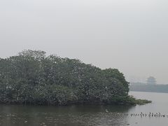 -海珠湖公园