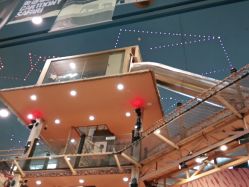 -卡通尼·Safari非洲探索乐园·生日会(金桥国际商业广场店)