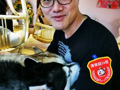 -Husky Go! 哈士奇体验馆·宠物咖啡厅狗咖