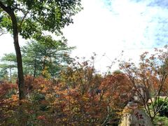 -广州市帽峰山景区