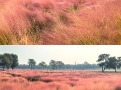 -汉长安城未央宫国家考古遗址公园