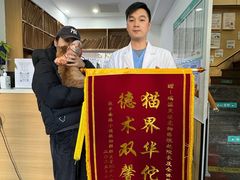 -瑞派天使宠物医院·神经外科·骨科·核磁CT(洛川中路店)