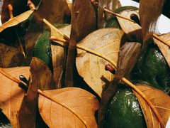 -乐口福家常菜馆(古庸路店)