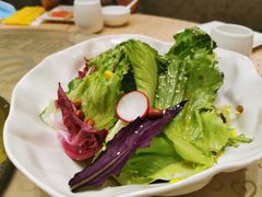 -大鸭梨烤鸭店(花园村店)
