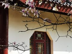 -堤角公园