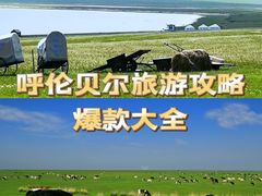 -呼伦贝尔大草原