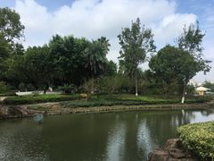 -河泥荡文化公园