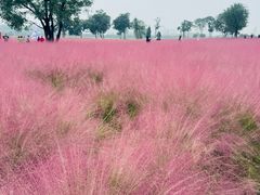 -汉长安城未央宫国家考古遗址公园