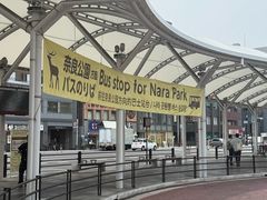 -奈良公园
