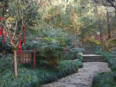 -梦姑塘文化公园