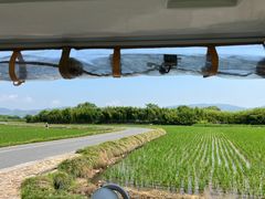 -良渚古城遗址公园