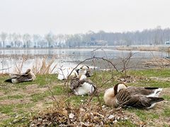 -长春市南湖公园