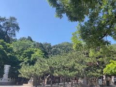 -潭柘寺景区