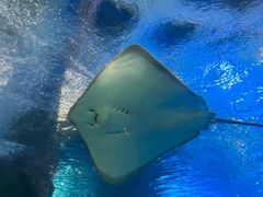 -太平洋海底世界