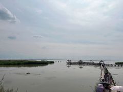 -哈素海