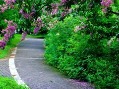 -国家植物园南园