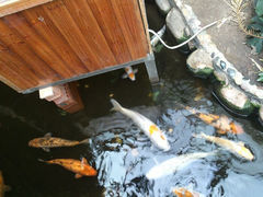 android_upload_pic-上海大自然野生昆虫馆
