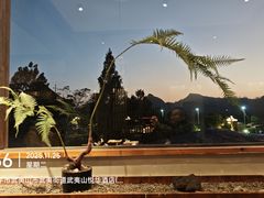 -宴武夷·匠心闽味(印象大红袍店)