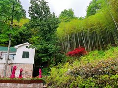 -莫干山风景区