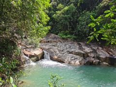 -广州白江湖森林公园