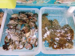 -港畔赶海蒸汽海鲜烧烤自助(仙螺岛店)