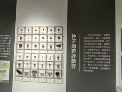 -三垟湿地