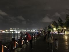 -万绿园