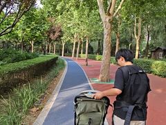 -东升八家郊野公园