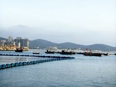 -小石岛景区