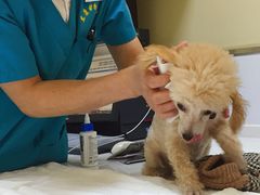 -惠康宠物医院(华能路店)