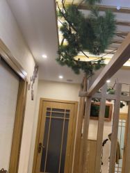 -芳朵美容养生SPA