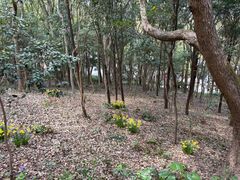 -洲晓鲜·舟山海鲜大排档(朱家尖风景区店)