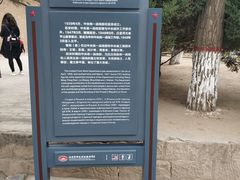 -延安杨家岭革命旧址