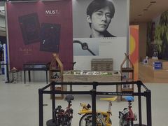 -大视光学•LINDBERG林德伯格•全球手工眼镜集合店(王府井店)