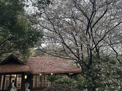 -中国茶叶博物馆(双峰馆区)