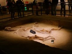 -洛阳周王城天子驾六博物馆